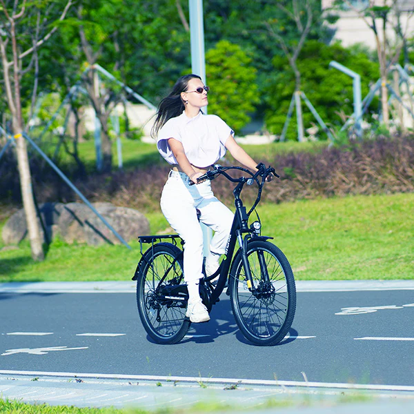 isinwheel U2 Electric Cruiser Bike - Image 11