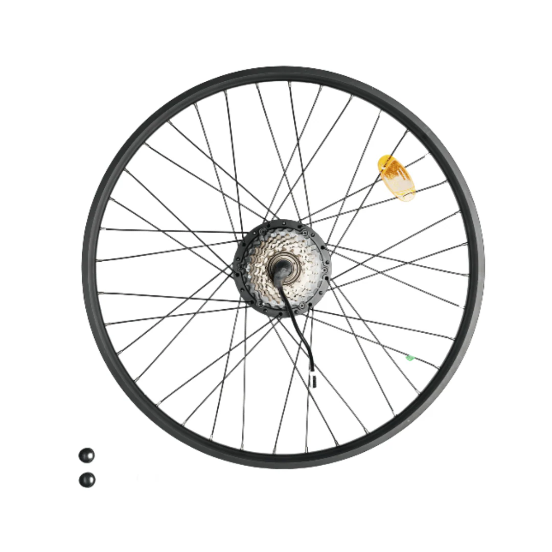 Rear Wheel Motor Replacement for M10 Electric Bike